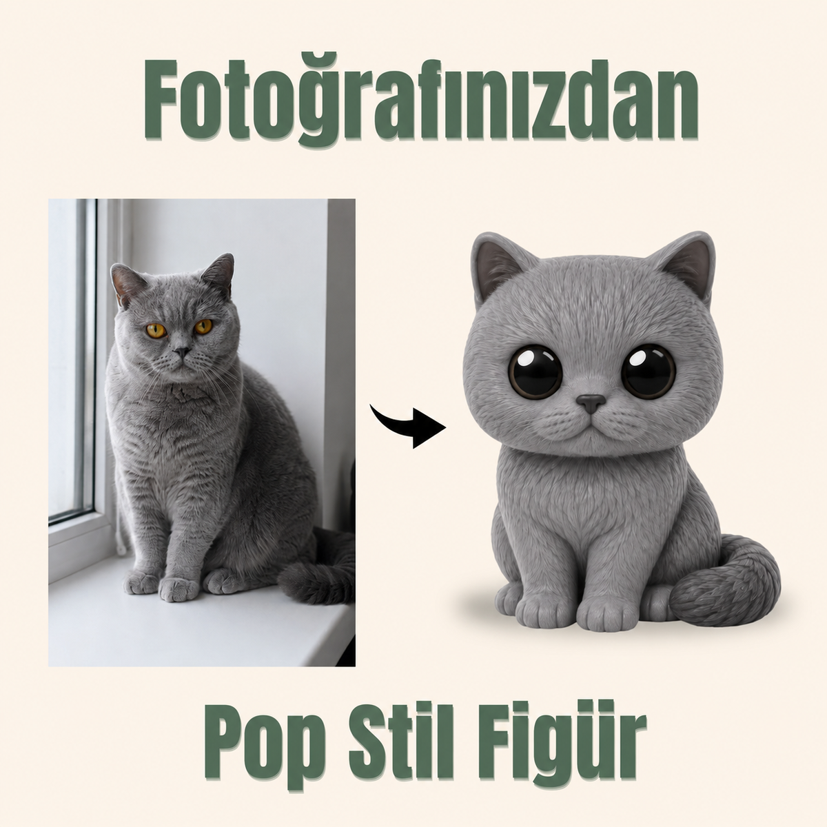 Evcil Hayvana Özel Pop Stil Mono Figür Mono Figür