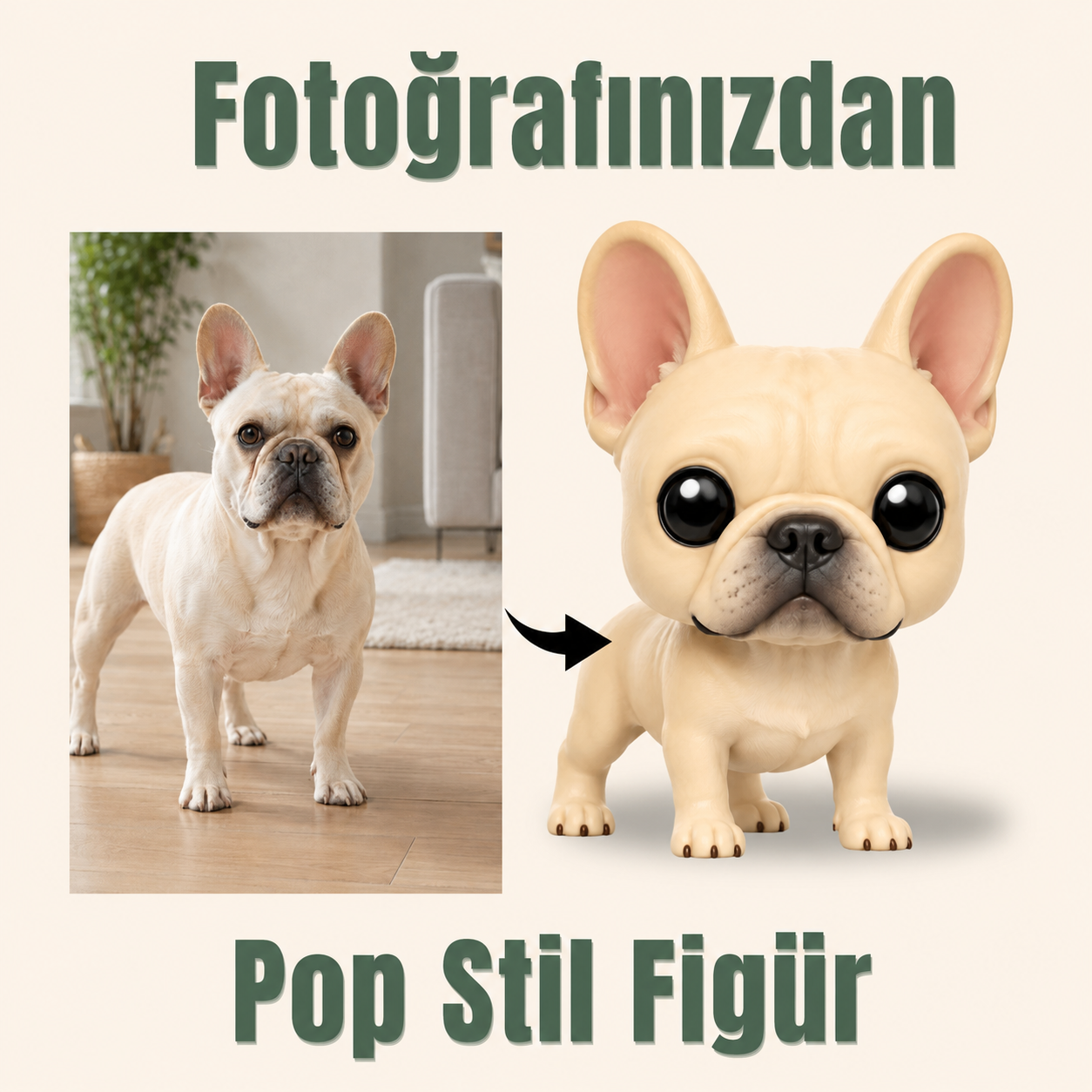 Evcil Hayvana Özel Pop Stil Mono Figür Mono Figür