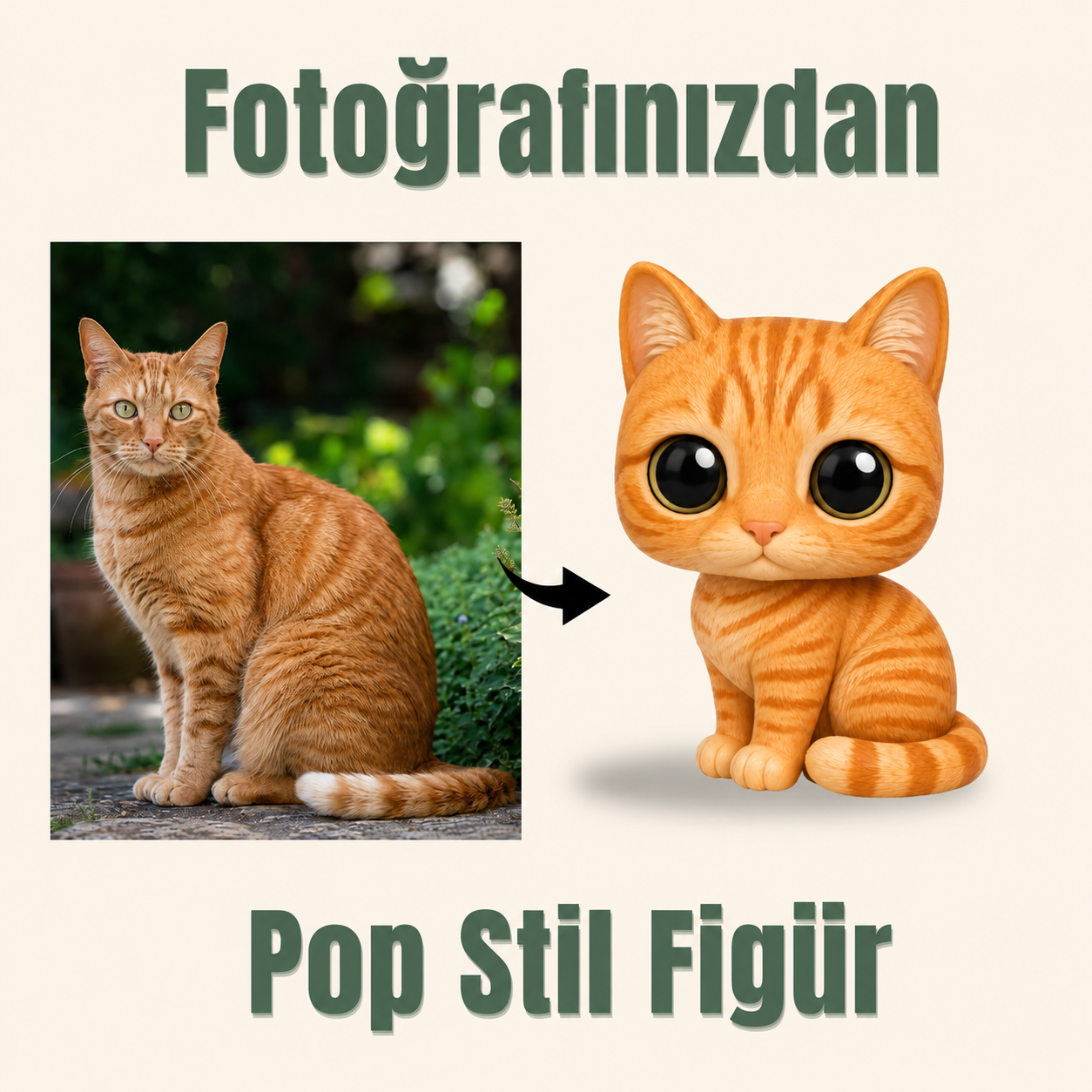 Evcil Hayvana Özel Pop Stil Mono Figür Mono Figür