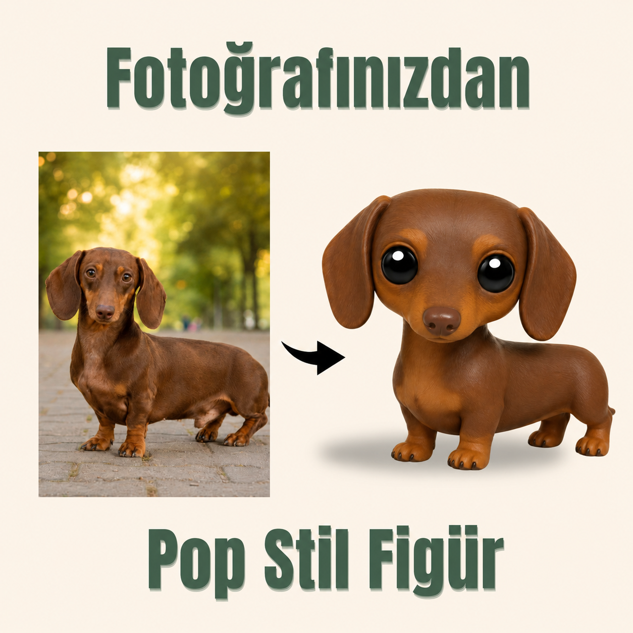 Evcil Hayvana Özel Pop Stil Mono Figür Mono Figür