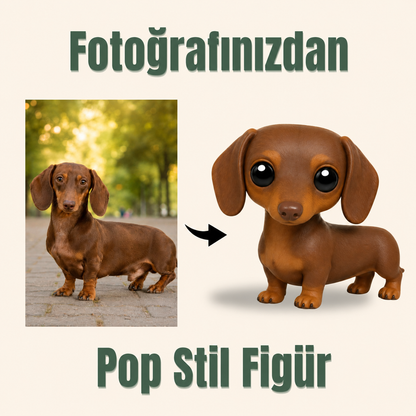 Evcil Hayvana Özel Pop Stil Mono Figür Mono Figür
