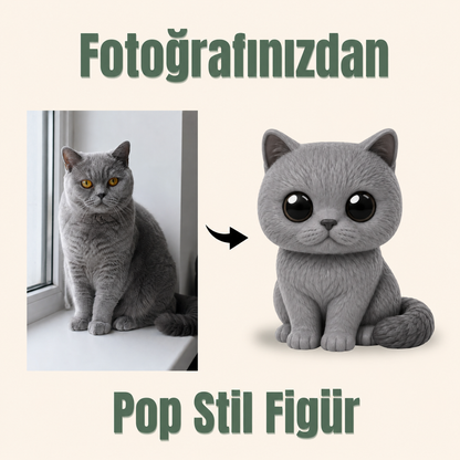 Evcil Hayvana Özel Pop Stil Mono Figür Mono Figür