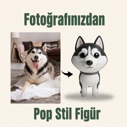 Evcil Hayvana Özel Pop Stil Mono Figür Mono Figür