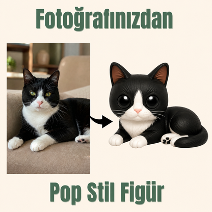 Evcil Hayvana Özel Pop Stil Mono Figür Mono Figür